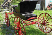 Delux Horse Buggy
