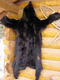 Black Bear Fur